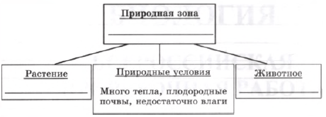Енотовидная собака, лимонник, ковыль