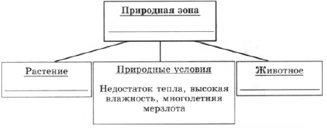 Песец, пустыня, лишайники