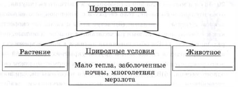 Тайга, соболь, тундра, карликовая берёза